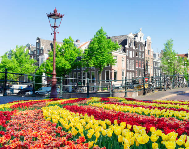 istock Houses of Amstardam, Netherlands 1087901076