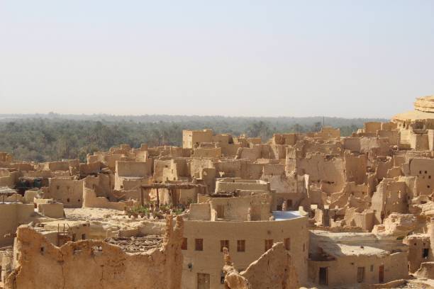 istock Siwa egypt Roof top landscape 1087905764