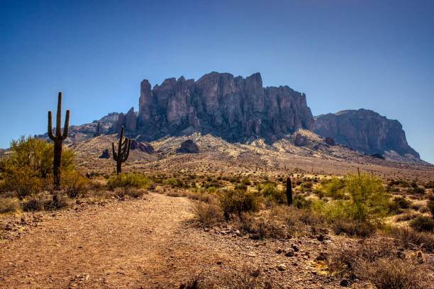 sentiero per le montagne della superstizione - hiking sonoran desert arizona desert foto e immagini stock