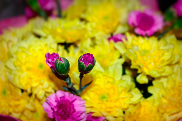 bouquet of yellow chrysanthemums and pink carnations