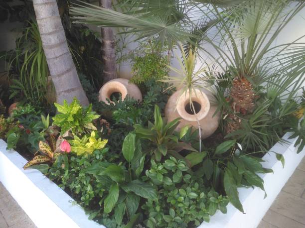 istock The beautiful Garden 1087917182