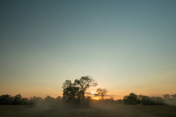 Sunset in Pantanal Wetland, Brazil