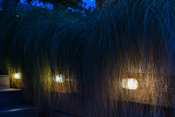 istock Lighting for step and decorate garden 1087919386