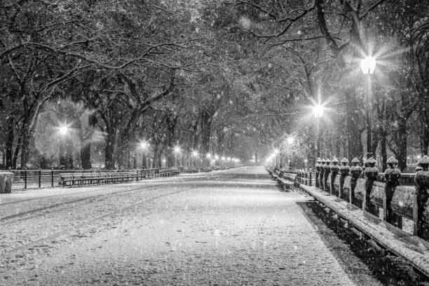 One person walking through the snow in Central Park, New York City.