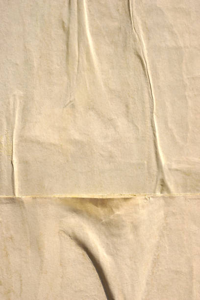 istock Blank brown beige old paper crumpled creased ripped torn posters grunge textures backdrop backgrounds plackard 1087927112
