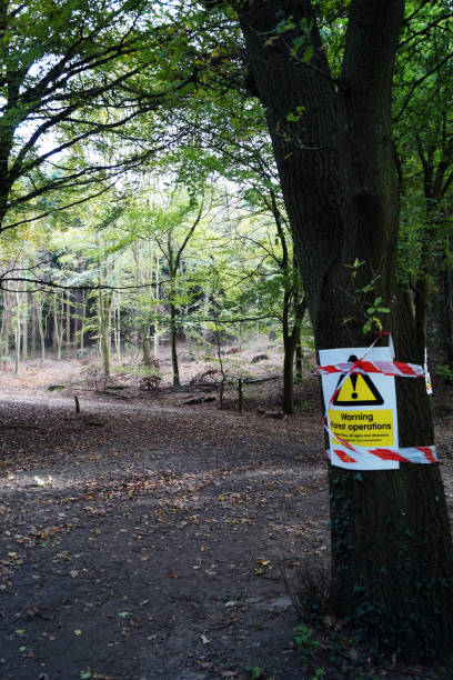 istock Forestry operations sign on a tree in woodland 1087934524