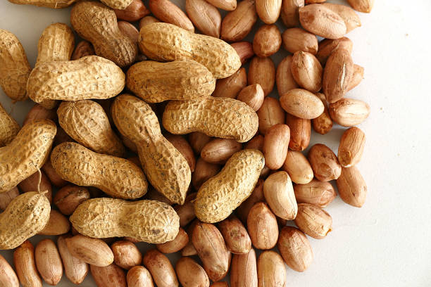 istock natural organic peanut, shelled peanuts white ground,shelled peanuts, 1087934550