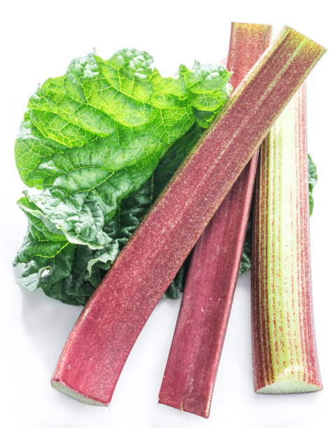 istock Edible rhubarb stalks. 1087936528