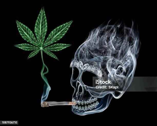 Конопля и дым какая марихуана лучшая