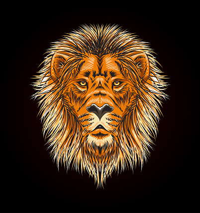 Lion head with mane on a dark background - colored vector sketch style illustration
