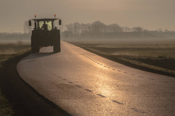 Tractor in the morning sun stock photo