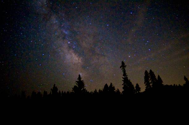 istock Starry Night in Sequoia National Park 1087963716