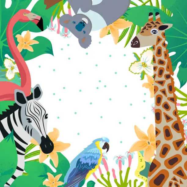 Vector illustration of Tropic background with cartoon style icons of zebra, giraffe, flamingo, koala, parrot ara. Cute characters in frame for different design.