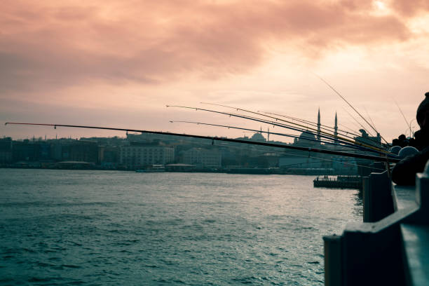 istock Fishermen at Galata Bridge, Istanbul 1087965720