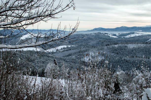 istock beautiful winter mountain resort 1087965856