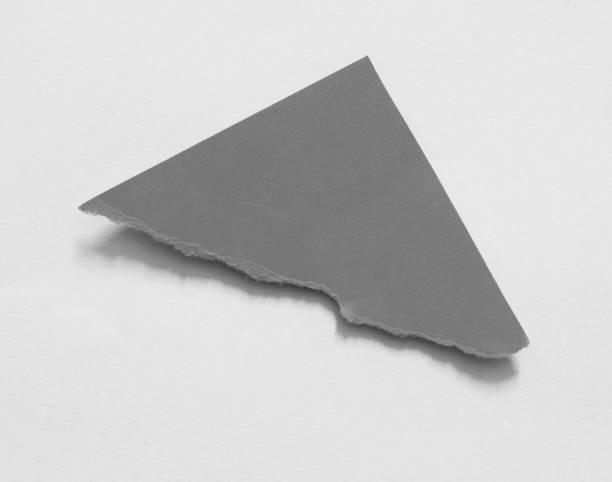 istock pieces of torn paper texture background 1087978936