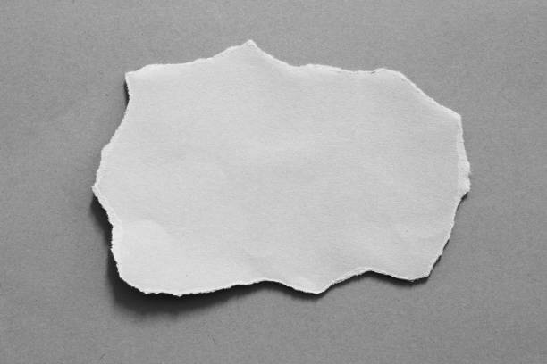 istock pieces of torn paper texture background 1087979116