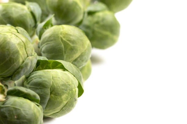 close up of fresh brussels sprouts