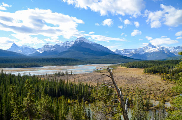 istock North Saskatchewan River and Mountain range in autumn at Saskatchewan Crossing along The Icefields Parkway, Banff National Park, Canadian Rockies, Alberta, Canada 1088012442