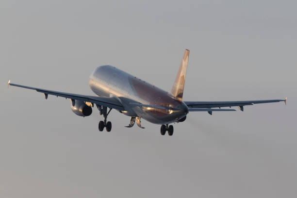 avion nordwind airlines qui décolle à l’aéroport - sheremetyevo photos et images de collection