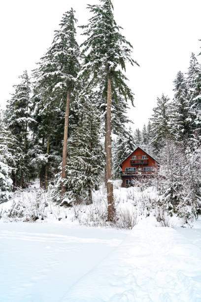 istock Cabin in the Mountains in Winter 1088023300