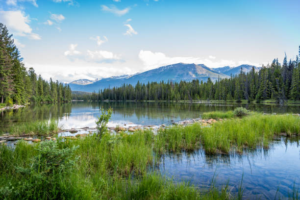 istock Mountain and Lake with reflection in Jasper Canada 1088023442