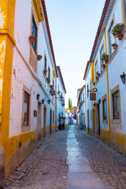 istock Obidos, Portugal at sunset 1088027678