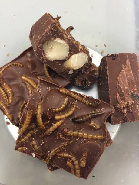 istock Edible insects chocolate rocky road with mealworms 1088033030