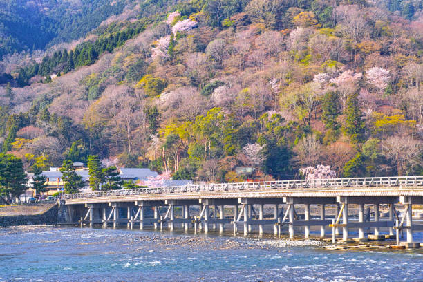 ponte de tsukihashi na primavera - togetsu kyo bridge - fotografias e filmes do acervo