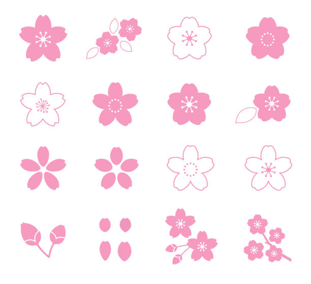 illustrazioni stock, clip art, cartoni animati e icone di tendenza di set di icone fiore di fiori di ciliegio - fiore di ciliegio