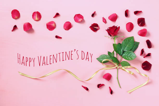 istock Top view of red rose on pastel pink background 1088064098