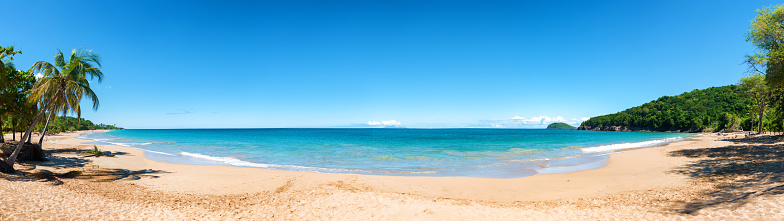Cocoteros, arena dorada de aguas color turquesa y cielo azul, la perla playa, Guadalupe, Antillas francesas photo
