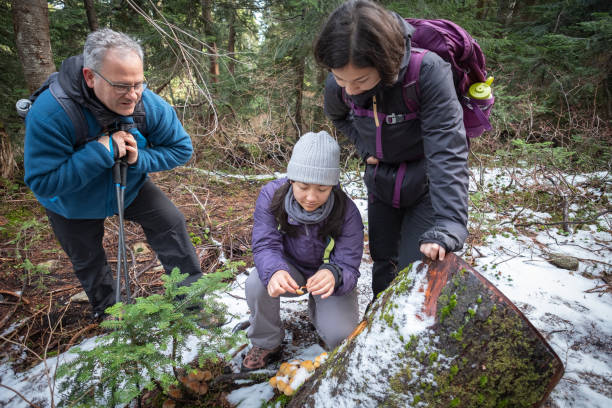 multi-ethnischen familie futter für winter pilze im verschneiten wald - wildnisgebiets name stock-fotos und bilder