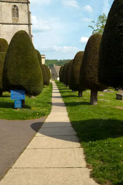 Photo of Famous yew trees in the churchyard at Painswick