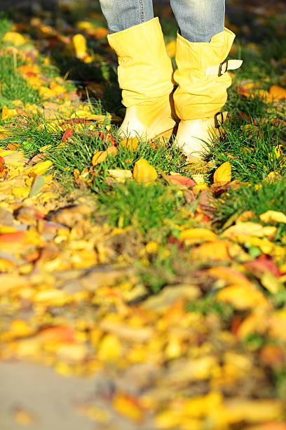 istock Yellow boots on grass and leaves in autumn 108807095