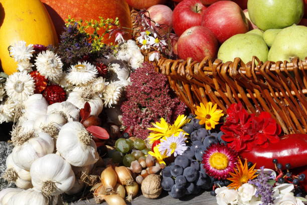 istock Summer collection of fresh fruit and flowers 1088076020