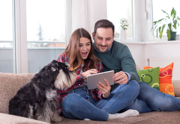 istock Couple with dog looking at tablet on sofa 1088090210