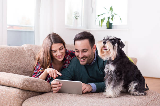 istock Couple with dog looking at tablet on sofa 1088090280