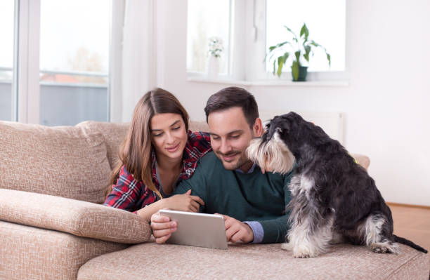 istock Couple with dog looking at tablet on sofa 1088090320