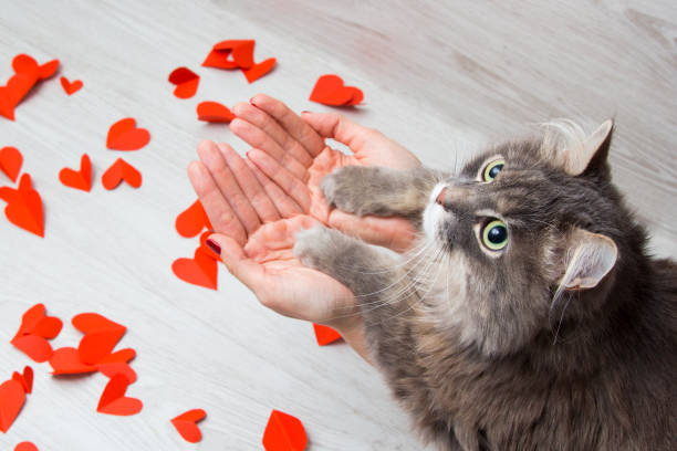 istock Hearts of red paper for Valentine's day 1088091984
