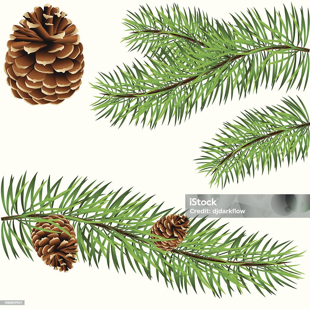 pinecone and pine branches brown pinecone and green pine branches Branch - Plant Part stock vector