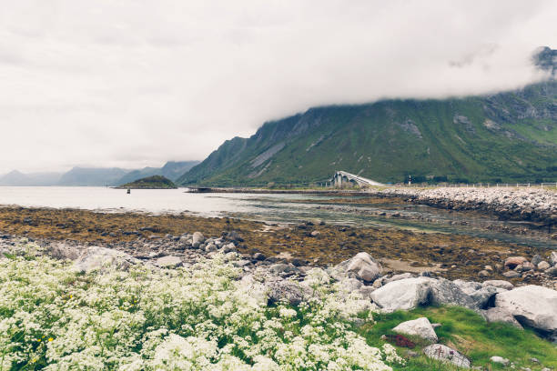 istock Gimsoystraumen bridge in Lofoten islands 1088100676