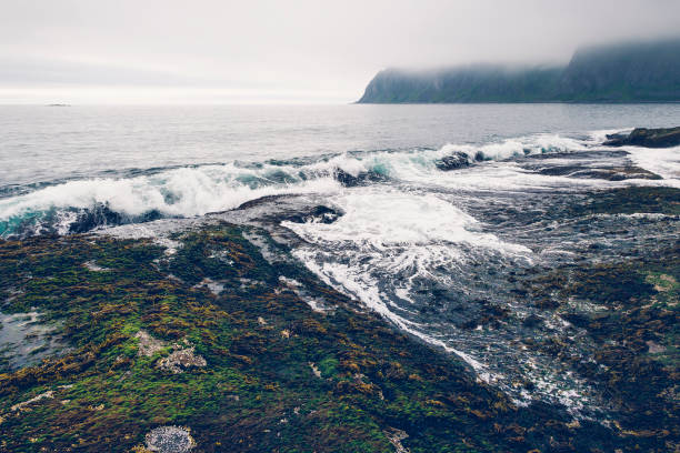 istock Waves crasing to coast in Senja, Norway 1088102584