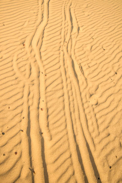 istock Sand of a beach with tracks 1088105200