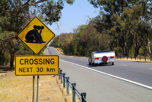 Road signage - speed bumper