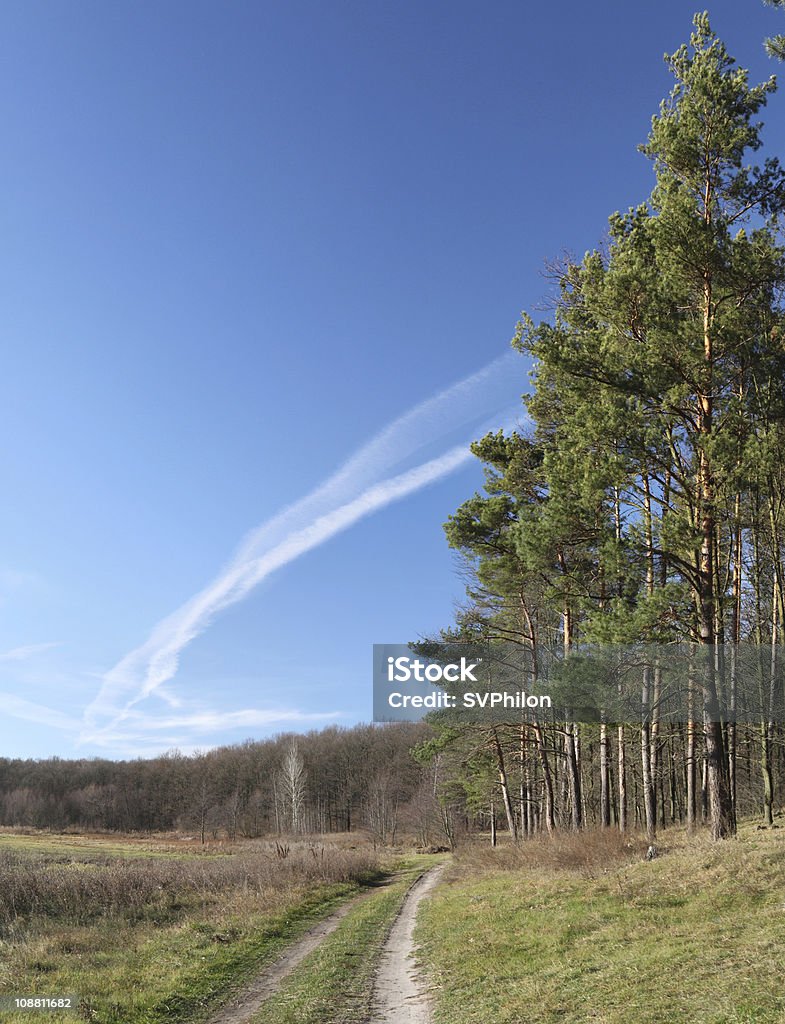 Road. The road between the forest and field. Agricultural Field Stock Photo