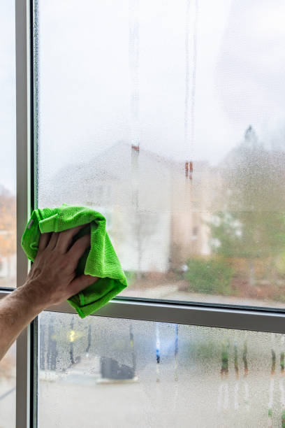istock Cleaning condensate on a plasic framed window 1088118000