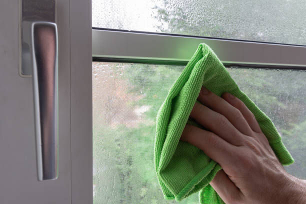 istock Cleaning condensate on a plasic framed window 1088118074