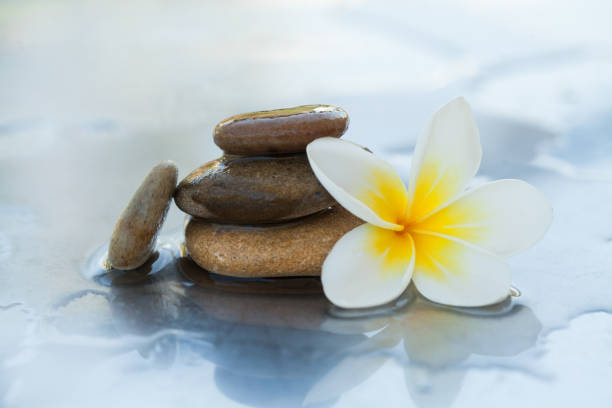 istock Spa flower and stones for massage treatment on white background. 1088120514