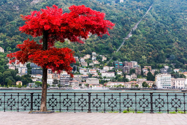 istock Beauty red tree in Como city, Italy 1088120882